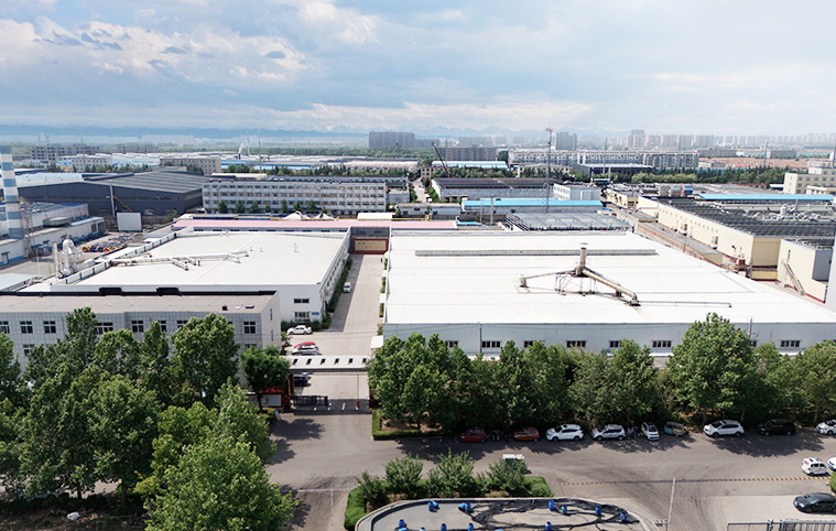 Company profile
