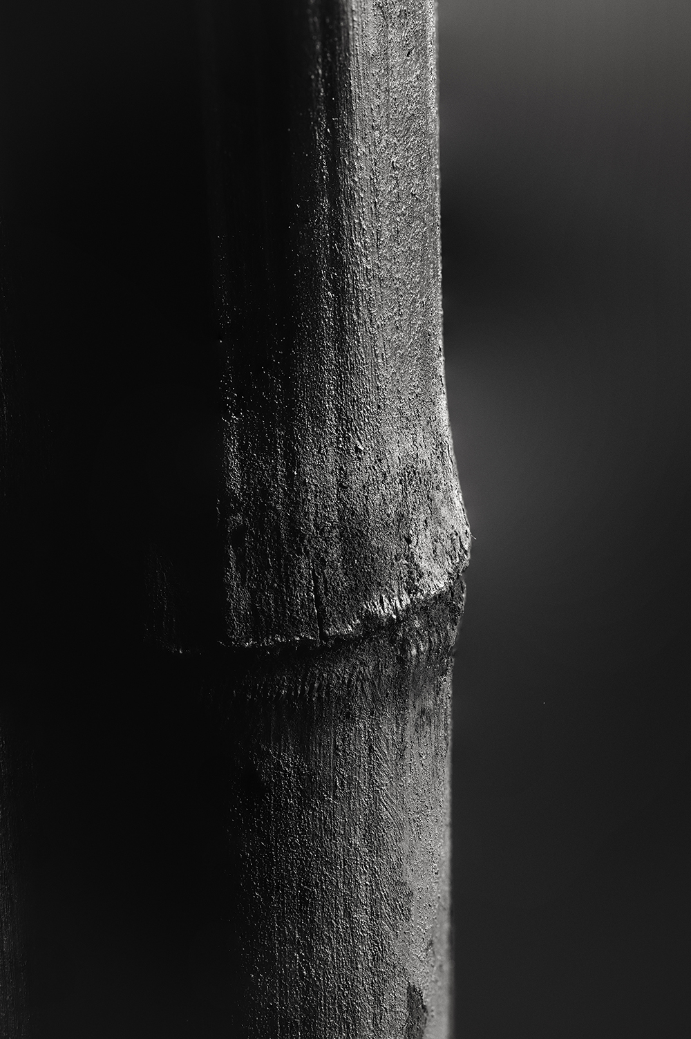 Bamboo charcoal color